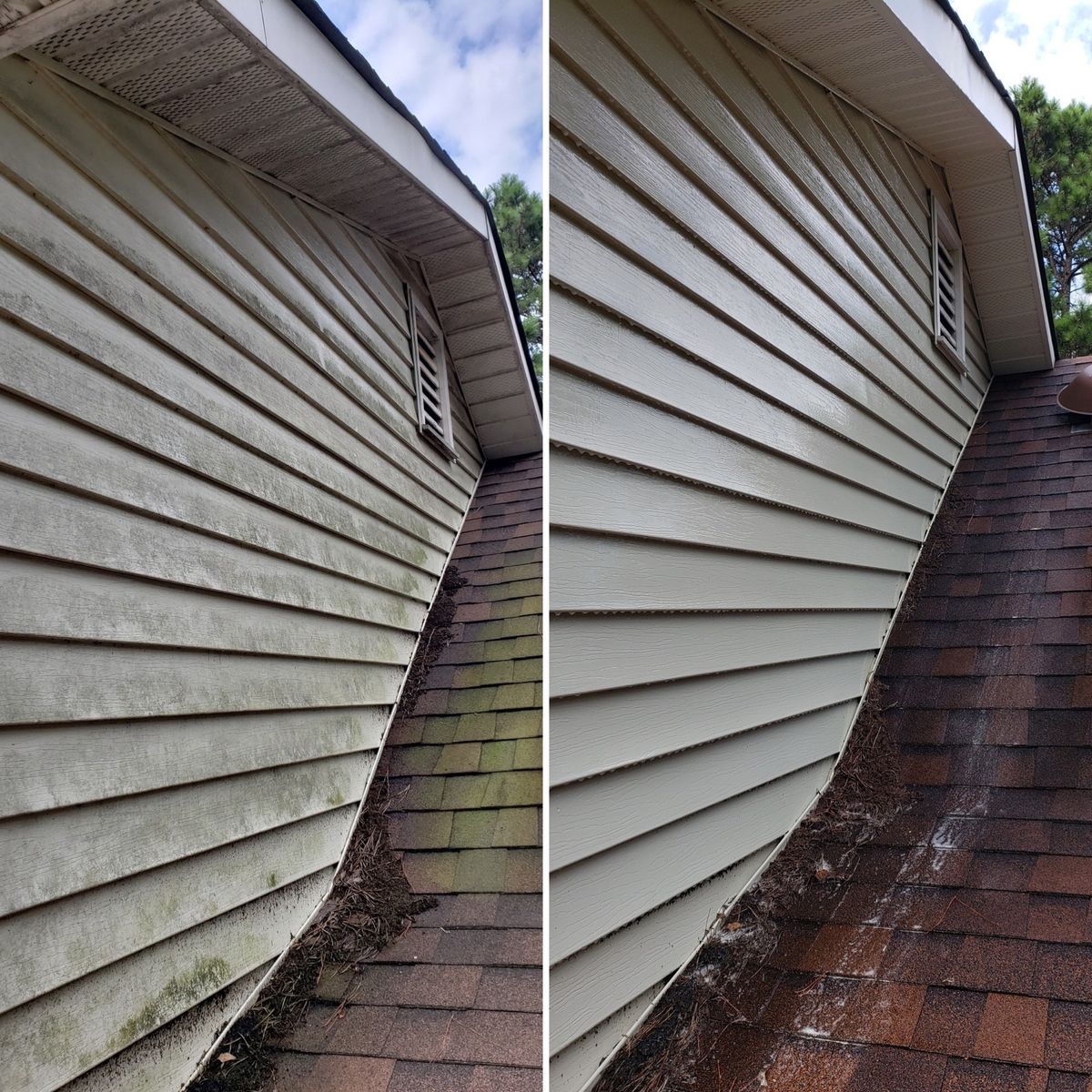 Roof cleaning before and after Macon GA